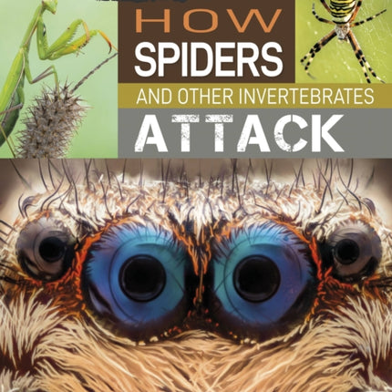 Predator vs Prey: How Spiders and other Invertebrates Attack