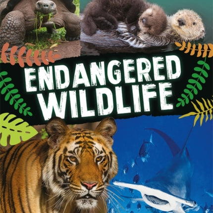 Endangered Wildlife