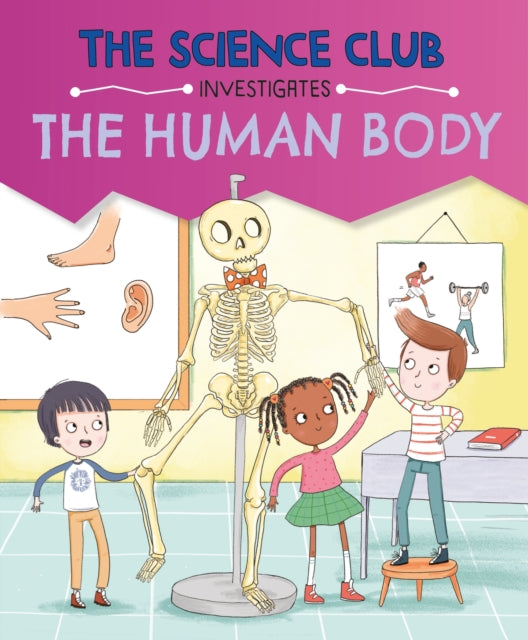 The Science Club Investigate The Human Body