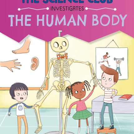The Science Club Investigate The Human Body