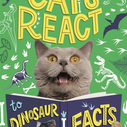 Cats React to Dinosaur Facts