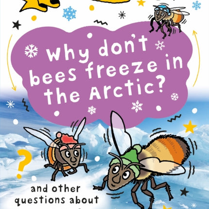 A Question of Geography Why Dont Bees Freeze in