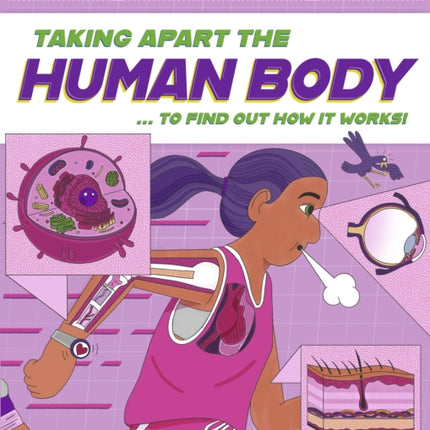 Inside Info Taking Apart the Human Body