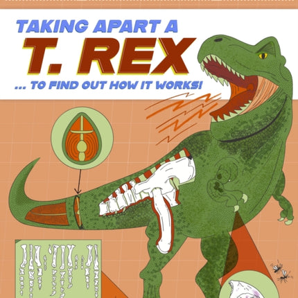 Inside Info Taking Apart a T. rex