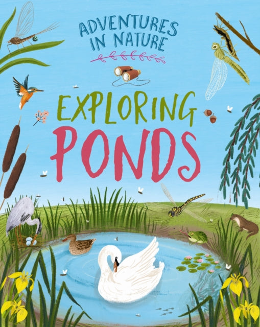 Adventures in Nature Exploring Ponds