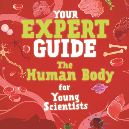 Your Expert Guide The Human Body for Kids