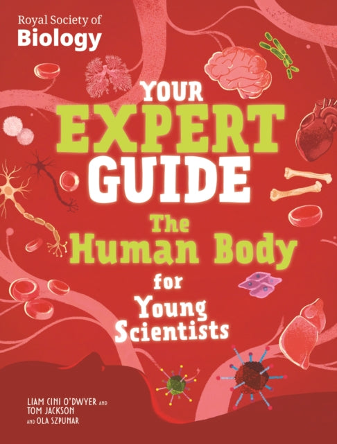 Your Expert Guide The Human Body for Kids