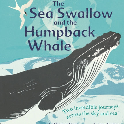 The Sea Swallow and the Humpback Whale