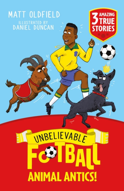 Unbelievable Football Short Colour Stories Animal