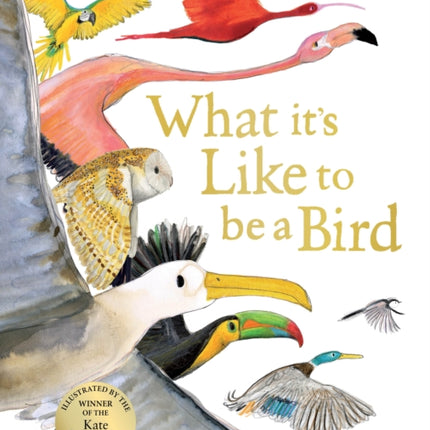 What it's Like to be a Bird