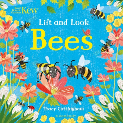 Kew: Lift and Look Bees