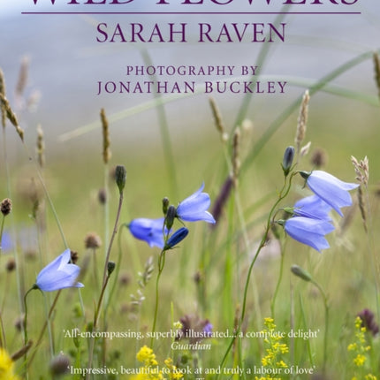 Sarah Raven's Wild Flowers