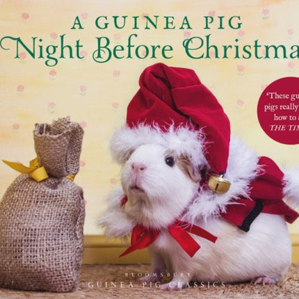 A Guinea Pig Night Before Christmas