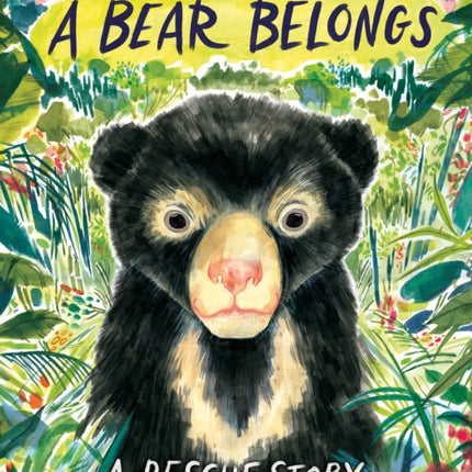A Bear Belongs