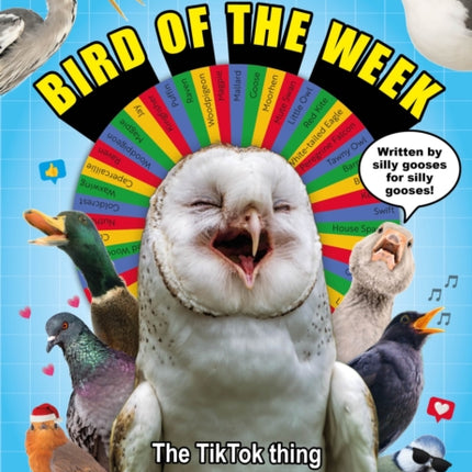 RSPB Bird of the Week