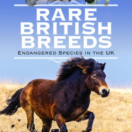 Rare British Breeds: Endangered Species in the UK