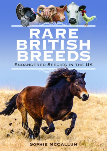 Rare British Breeds: Endangered Species in the UK