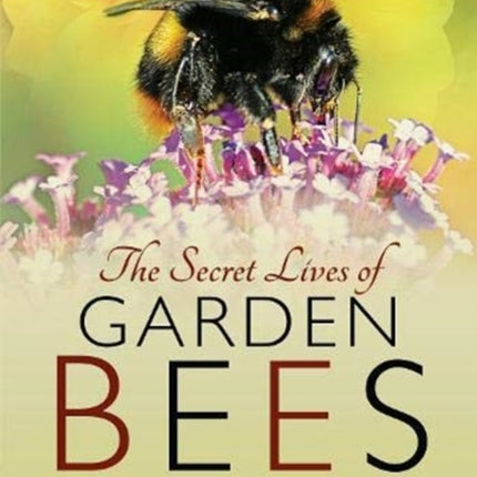 The Secret Lives of Garden Bees