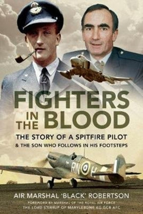 Fighters in the Blood: The Story of a Spitfire