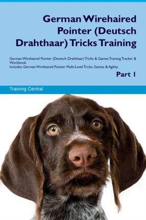 German Wirehaired Pointer Deutsch Drahthaar Tricks Training German Wirehaired Pointer Deutsch Drahthaar Tricks  Games Training Tracker   MultiLevel Tricks Games  Agility Part 1