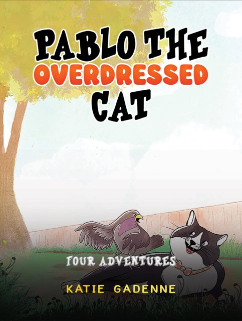 Pablo the Overdressed Cat