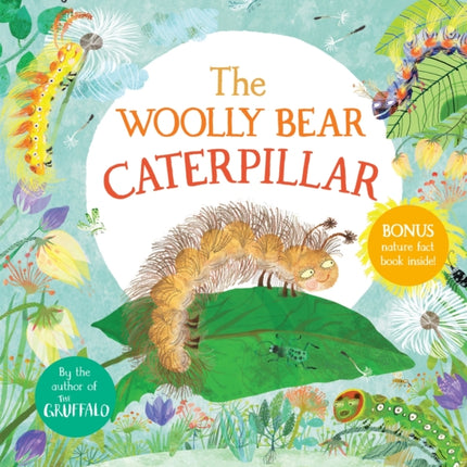 The Woolly Bear Caterpillar