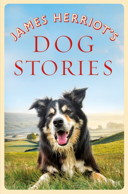 James Herriot's Dog Stories