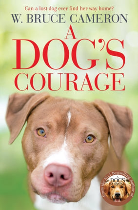 A Dog's Courage