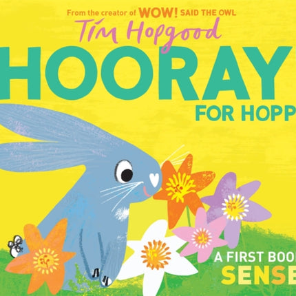 Hooray for Hoppy: A First Book of Senses