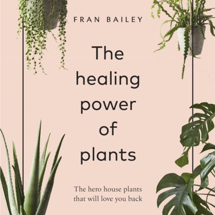 The Healing Power of Plants: The Hero House