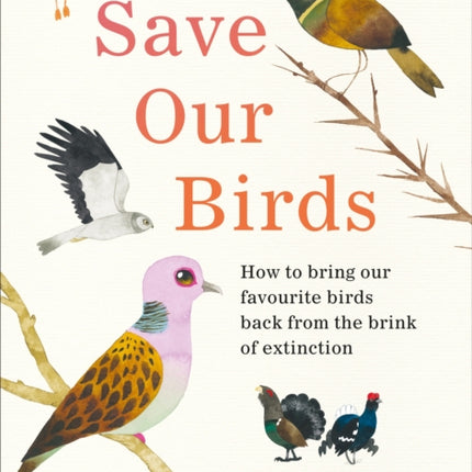 Save Our Birds: How to bring our favourite birds back from the brink of extinction