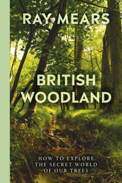 British Woodland: How to explore the secret world of our forests