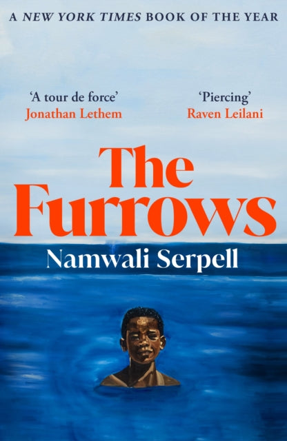 The Furrows: From the Prize-winning author of The Old Drift