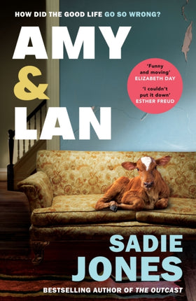 Amy and Lan: The enchanting new novel from the Sunday Times bestselling author of The Outcast