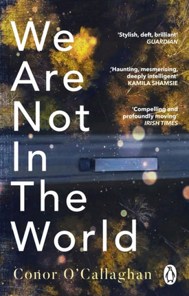 We Are Not in the World: ‘compelling and profoundly moving’ Irish Times