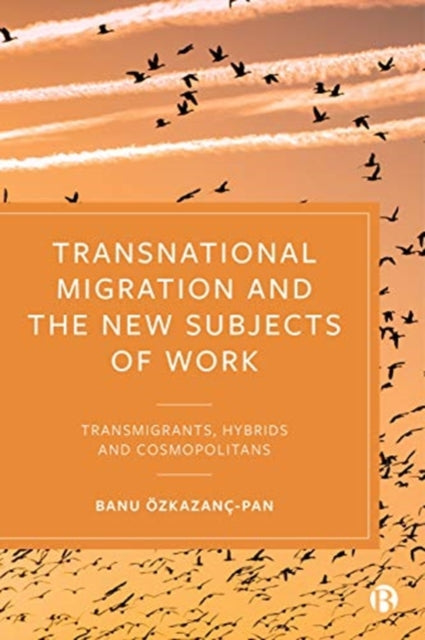 Transnational Migration and the New Subjects of Work: Transmigrants, Hybrids and Cosmopolitans