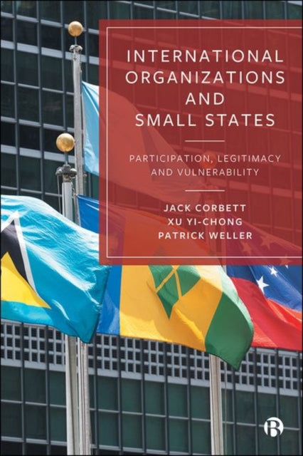 International Organizations and Small States: Participation, Legitimacy and Vulnerability