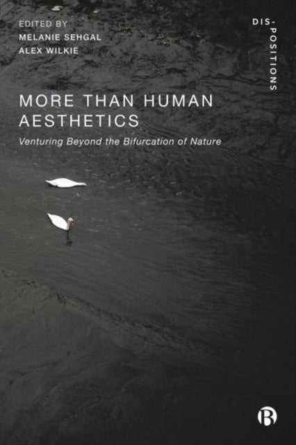 MoreThanHuman Aesthetics