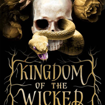 Kingdom of the Wicked: TikTok made me buy it! The addictive and darkly romantic fantasy