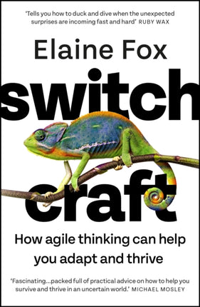 Switchcraft: How Agile Thinking Can Help You Adapt and Thrive