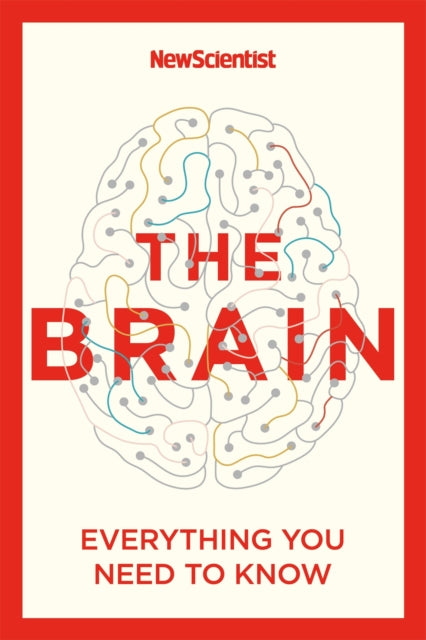 The Brain: Everything You Need to Know