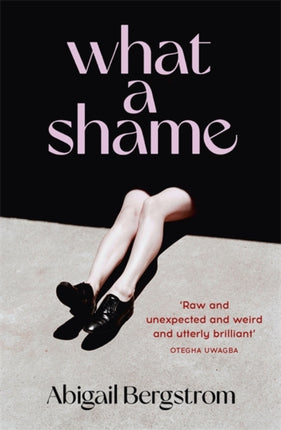 What a Shame: 'Intelligent, moving and darkly comic' The Sunday Times