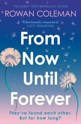 From Now Until Forever: an epic love story like no other from the Sunday Times bestselling author of The Summer of Impossible Things