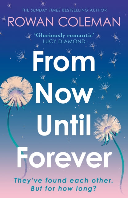 From Now Until Forever: an epic love story like no other from the Sunday Times bestselling author of The Summer of Impossible Things