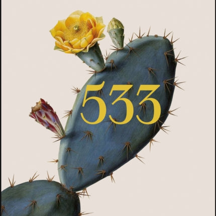 533: A Book of Days