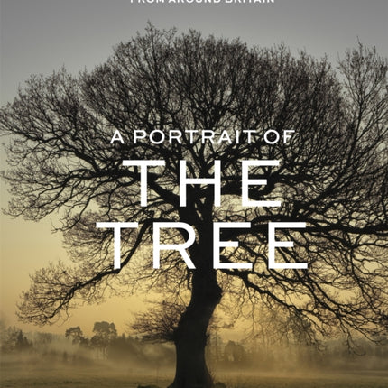 A Portrait of the Tree: A celebration of favourite trees from around Britain