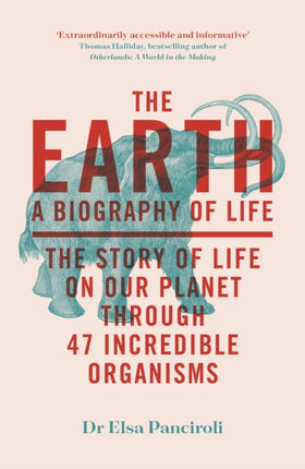 The Earth