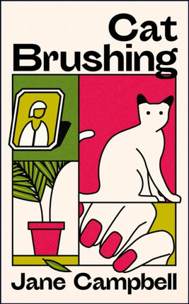 Cat Brushing: a dazzling short story collection