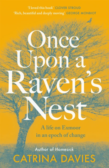 Once Upon a Ravens Nest