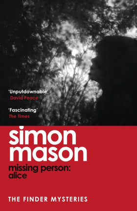 Missing Person Alice The Finder Mysteries